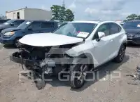 2019 Lexus NX300 фото