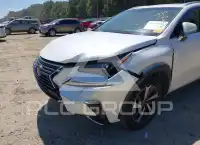 2019 Lexus NX300 фото