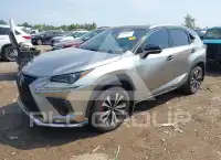 2019 Lexus NX300 фото