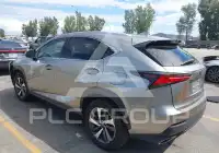 2019 Lexus NX300 фото