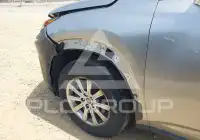 2019 Lexus NX300 фото