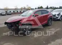 2019 Lexus NX300 photo