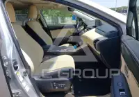 2019 Lexus NX300 фото