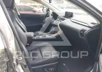2019 Lexus NX300 фото