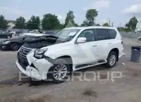 2019 Lexus GX460 photo