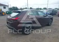 2019 Lexus UX250 фото