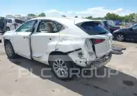 2019 Lexus NX300 фото