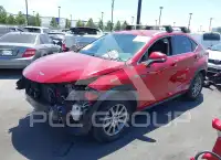 2019 Lexus NX300 фото