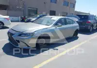 2019 Lexus ES300 фото
