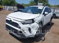 2019 Toyota RAV4 photo