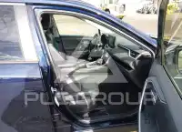 2019 Toyota RAV4 photo