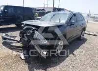 2019 Toyota RAV4 photo