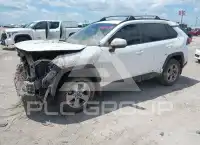 2019 Toyota RAV4 фото
