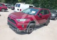 2019 Toyota RAV4 photo