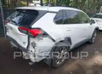 2019 Toyota RAV4 photo