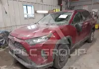 2019 Toyota RAV4 фото