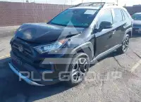 2019 Toyota RAV4 фото