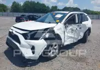 2019 Toyota RAV4 фото