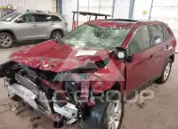 2019 Toyota RAV4 фото