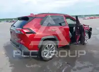 2019 Toyota RAV4 photo