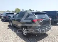 2019 Toyota RAV4 photo