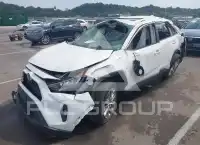 2019 Toyota RAV4 photo