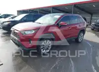 2019 Toyota RAV4 photo
