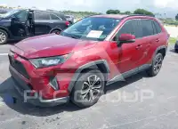 2019 Toyota RAV4 photo