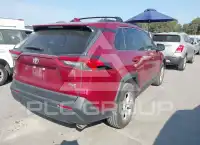 2019 Toyota RAV4 photo