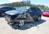 2019 Toyota RAV4 фото