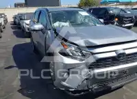2019 Toyota RAV4 фото