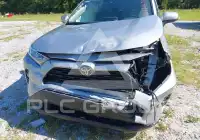 2019 Toyota RAV4 photo