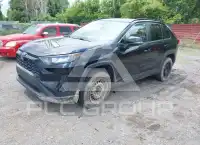 2019 Toyota RAV4 фото