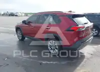 2019 Toyota RAV4 photo