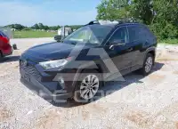 2019 Toyota RAV4 фото