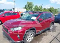 2019 Toyota RAV4 фото