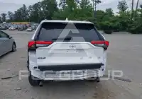 2019 Toyota RAV4 фото