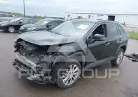 2019 Toyota RAV4 фото
