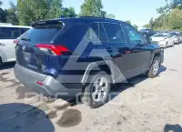 2019 Toyota RAV4 photo