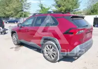 2019 Toyota RAV4 photo