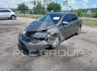 2019 Toyota COROLLA photo