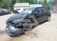 2019 Toyota COROLLA photo