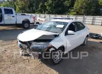 2019 Toyota COROLLA photo