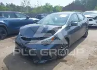 2019 Toyota COROLLA photo
