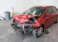 2019 Toyota COROLLA фото