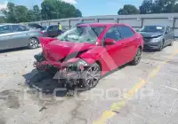 2019 Toyota COROLLA photo