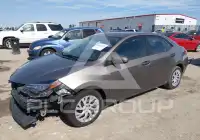 2019 Toyota COROLLA photo