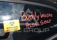 2019 Toyota COROLLA фото