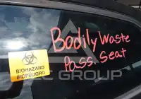 2019 Toyota COROLLA фото