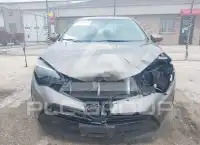 2019 Toyota COROLLA фото